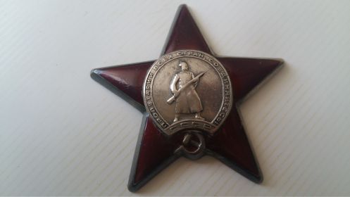 медаль "За боевые заслуги", Орден Отечественной войны 2 степени, орден Красной Звезды