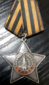 Орден "Славы" III степени