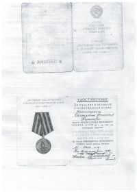Медаль "ЗА ПОБЕДУ НАД ГЕРМАНИЕЙ В ВЕЛИКОЙ ОТЕЧЕСТВЕННОЙ ВОЙНЕ 1941-1945 гг."