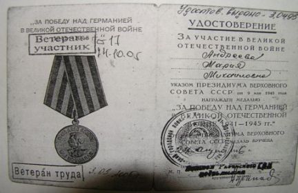Медаль за Победу над Германией