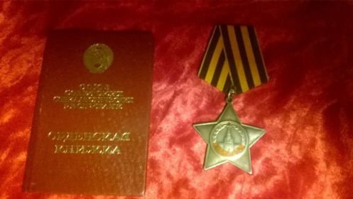 Орден славы IIIстепени