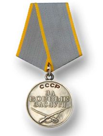 медаль " За боевые заслуги "