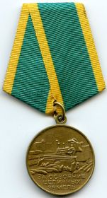 ЗА ОСВОЕНИЕ ЦЕЛИННЫХ ЗЕЛЕЛЬ