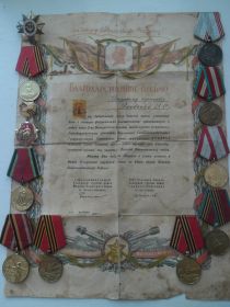 Орден Отечественной Войны I степени, медаль Жукова и др., благодарственное письмо от Рокоссовского и Шатилова