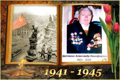 красная звезда и 17 медалей и орденов