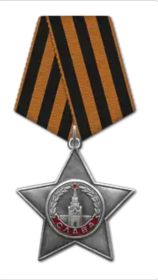 Орден Славы 3 степени