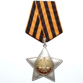 орден Славы 2 степени