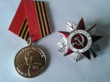 Орден Отечественной войны II степени, медали: За отвагу, за победу над Японией, маршала Жукова
