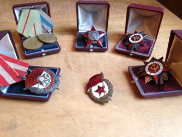 Два ордена Великой Отечественной Войны, Орден Красной Звезды, Медаль за освобождение Сталинграда, Медаль за освобождение Праги