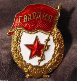 3.	Нагрудный знак «Гвардия»