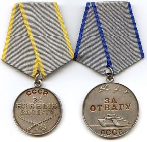 2 медали "За боевые заслуги", медаль "За отвагу"