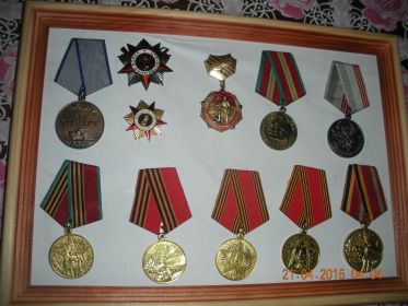 Орден Красной Звезды, медаль Жукова, медаль за Отвагу