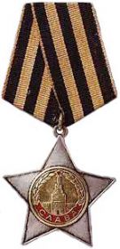 Орден славы 2й степени