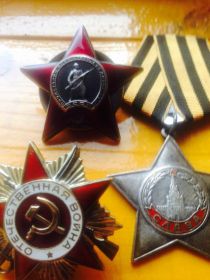Орден Отечественной войны I степени; Орден Славы III степени; Орден «Красная Звезда»