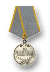 Медаль За боевые заслуги