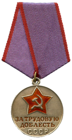 медаль «За трудовую доблесть»