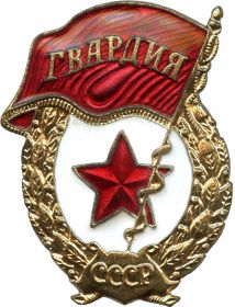 Нагрудный знак "Гвардия"