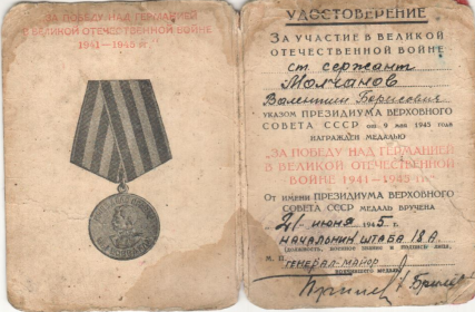 Медаль За победу над Германией в ВОВ 1941-1945 г.г.
