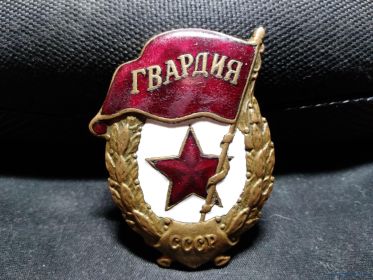 нагрудный знак "Гвардия"