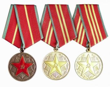 За Отвагу. за взятие Будапешта. За победу над Германии. Орден Славы 3ст .за безупречную службу 1-2-3 ст.Орден великої отечествиной войни