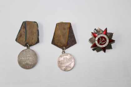 Орден Отечественной войны 2-й степени, медали "За отвагу", "За боевые заслуги", "За оборону Кавказа"