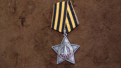 орден " Славы 3ст.",медаль "За Отвагу","За взятие Будапешта","За Победу над Германией"