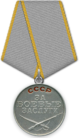 Медаль «За боевые заслуги» .  Приказ подразделения №: 5/н от: 24.03.1943 Издан: ВС 25 Гв. СД Юго-Западного фронта