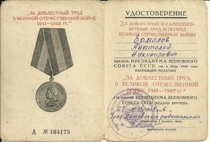 ЗА ДОБЛЕСТНЫЙ ТРУД В ВЕЛИКОЙ ОТЕЧЕСТВЕННОЙ ВОЙНЕ 1941-1945ГГ