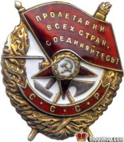 орден Красного Знамени Приказ подразделения №: 555 от: 09.07.1943  Издан: ВС Северо-Западного фронта