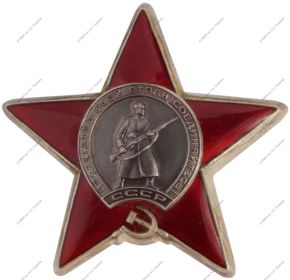 орден Красной звезды Приказ подразделения  №: 580 от: 31.10.1944  Издан: ВС 3 Прибалтийского  фронта