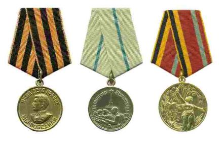 Медали: «За оборону Ленинграда», «За победу над Германией», "Тридцать лет победы в Великой Отечественной войне 1941-1945 гг."