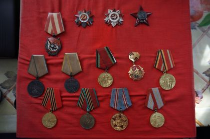 Медаль за боевые заслуги, медаль за отвагу, два ордена Великой отечественной войны второй степени, орден красной звезды, орден боевого красного знамени, восемь...