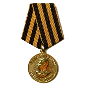 Медаль "За Победу над Германией в Великой Отечественной войне 1941 - 1945 гг"