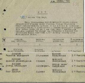 Медаль За Победу над Германией в Великой Отечественной войне 1941-45гг