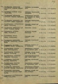 Медаль За Победу над Германией в Великой Отечественной войне 1941-45гг