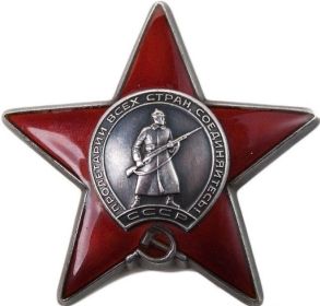 Орден "Красная звезда", медаль "За победу над Германией 1941-1945гг"