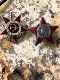 Орден Красной Звезды, орден Отечественной войны 2-ой степени, медаль за победу над Германией