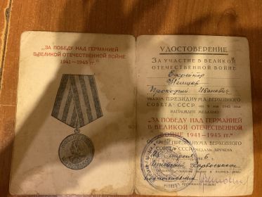 За победу над Германией