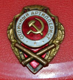нагрудный знак "Отличный артиллерист"