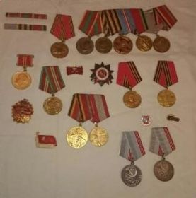 Медаль "За боевые заслуги", медаль "За победу над Германией", орден "Отечественной войны" II степени