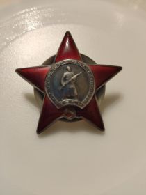 Орден Красной звезды, медаль За боевые заслуги, медаль За оборону Кавказа