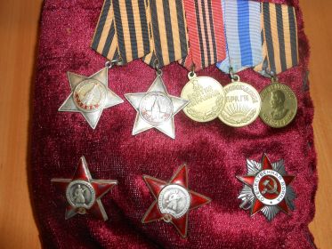 Два ордена Красной Звезды,орден 2 степени Отечественная война,ордена Славы 2 и 3 степени,медали "За взятие Берлина", "За освобождение Праги".