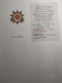 Медаль "За победу над Японией", Орден Отечественной войны IIстепени