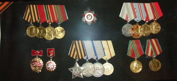Медалью за «Оборону Сталинграда». Двумя медалями «За Отвагу», Орден Славы 3й степени.