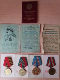 Орден Отечественной войны, благодарности от Верховного Главнокомандующего, медаль Жукова