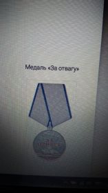 Медаль  «За отвагу» 30.04.1945 г.  Отличник  ПВО 1946 г.  Орден Отечественной войны II степени 11.03.1985 г.  Медаль Жукова 06.03.1995 г.  Медаль «За победу над...