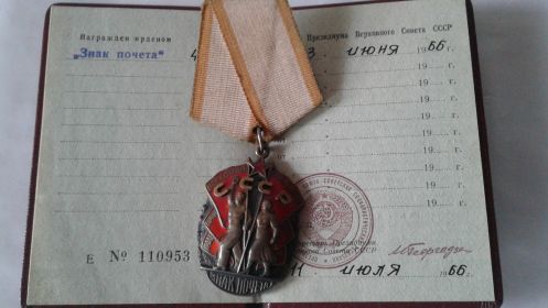 Медаль "За доблестный труд в Великой Отечественной войне"(1947).орден Трудового Красного знамени (1973), Орден "Знак Почёта"(1966)