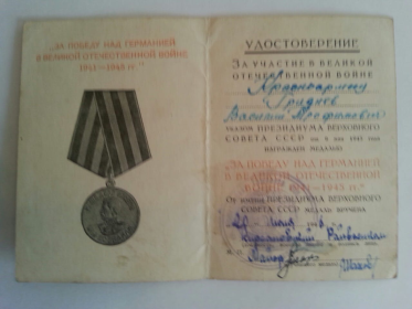 Медаль "За победу над Германией в Великой Отечетвенной Войне 1941-1945"