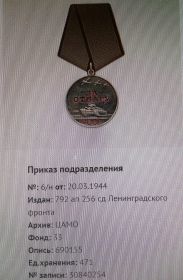 медаль " За отвагу"