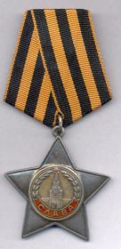 орден Славы 2-й степени